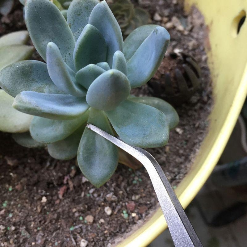 D8KF Durable Gardening Rake Mi - Bonsai Garden Shop recension och pris