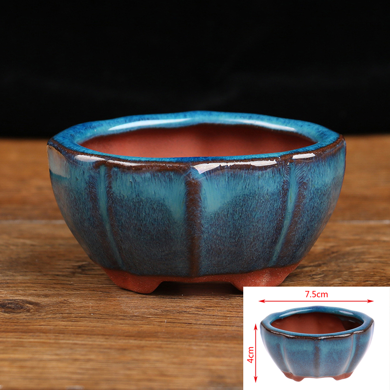 1pcs Bonsai Mini Ceramic Flowe - Japanese Garden Bonsai recension och pris