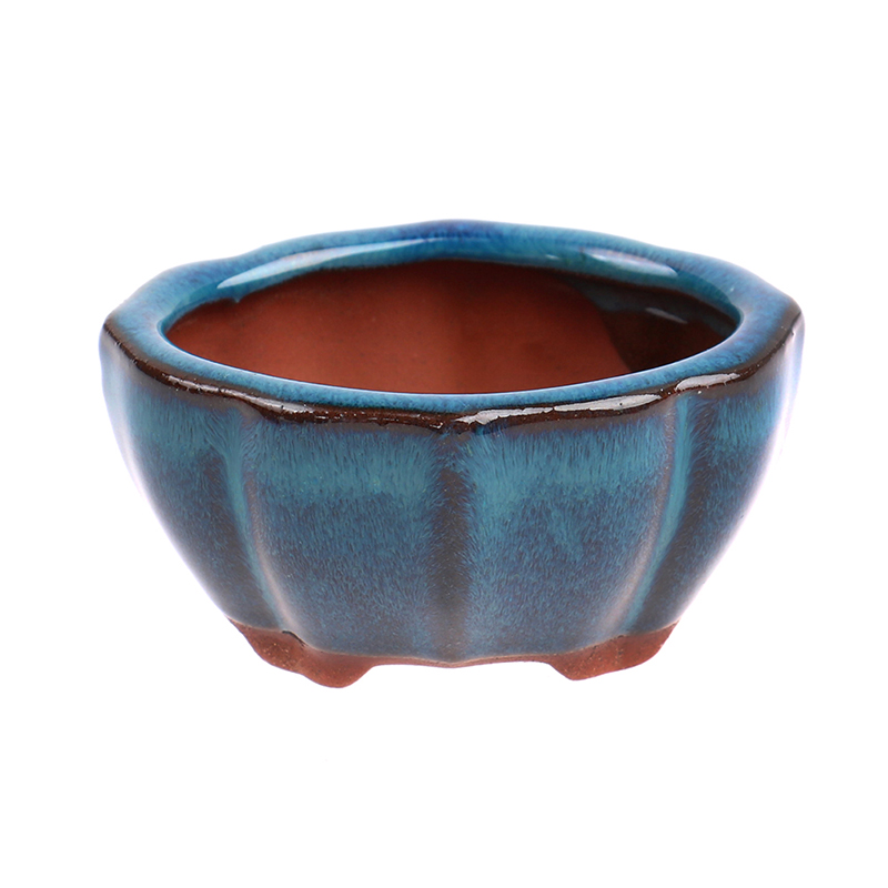 1pcs Bonsai Mini Ceramic Flowe - Japanese Garden Bonsai recension och pris