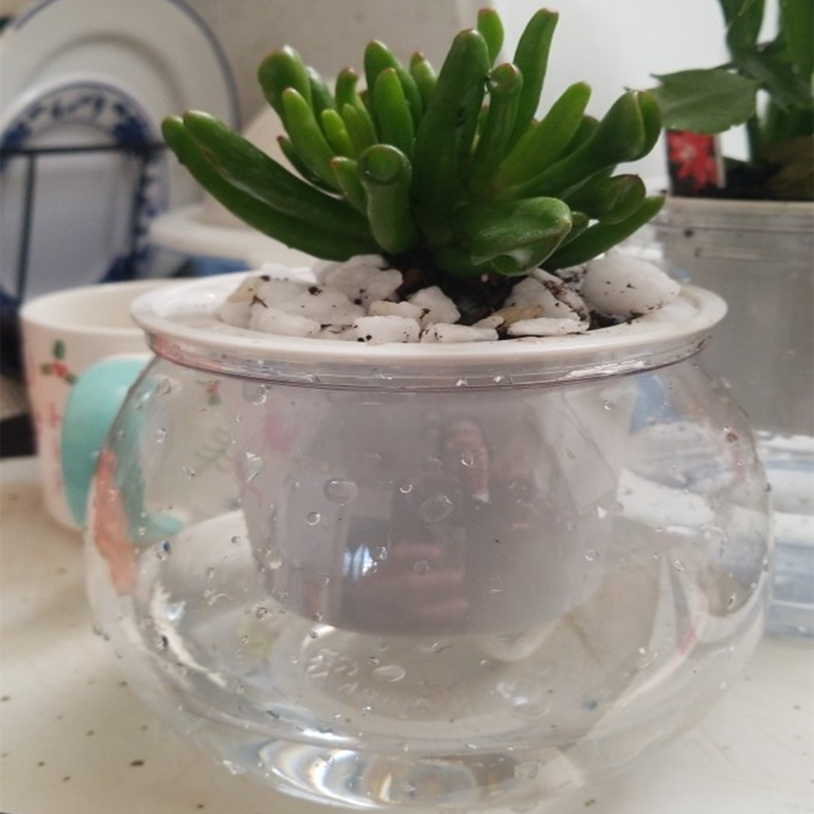 Self Watering Planter Pots Min - Japanese Garden Bonsai recension och pris