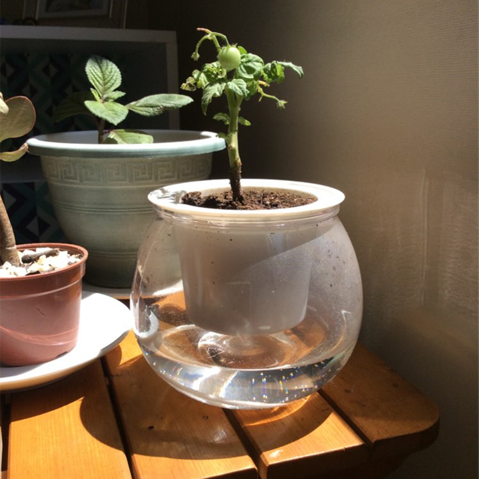 Self Watering Planter Pots Min - Japanese Garden Bonsai recension och pris