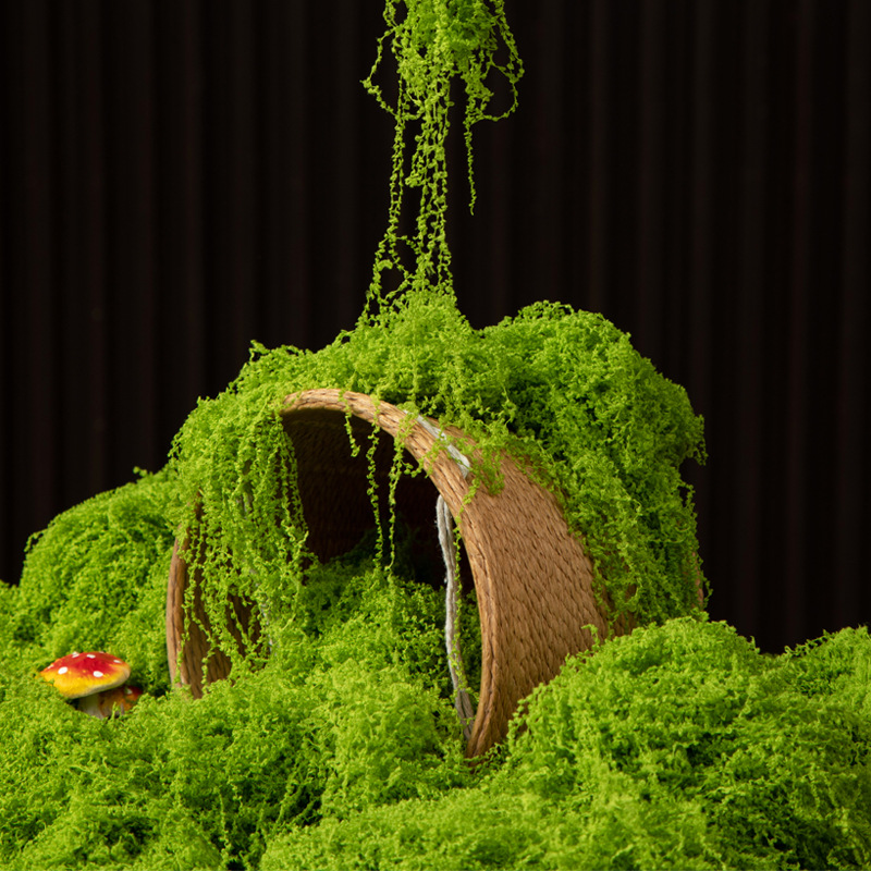 200g Eternal Life Moss DIY Cra - Bonsai Garden Ideas recension och pris