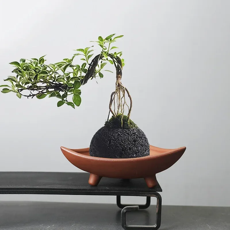 Personalized Ceramic Flower Po - Japanese Garden Bonsai recension och pris