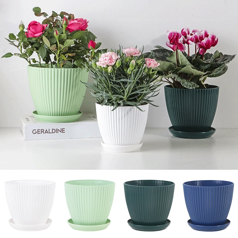Succulent Potted Round Pot wit - Japanese Garden Bonsai recension och pris