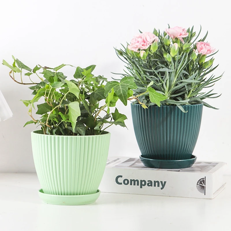 Succulent Potted Round Pot wit - Japanese Garden Bonsai recension och pris