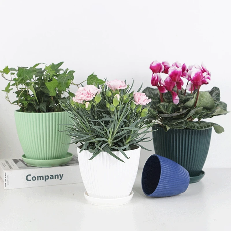 Succulent Potted Round Pot wit - Japanese Garden Bonsai recension och pris