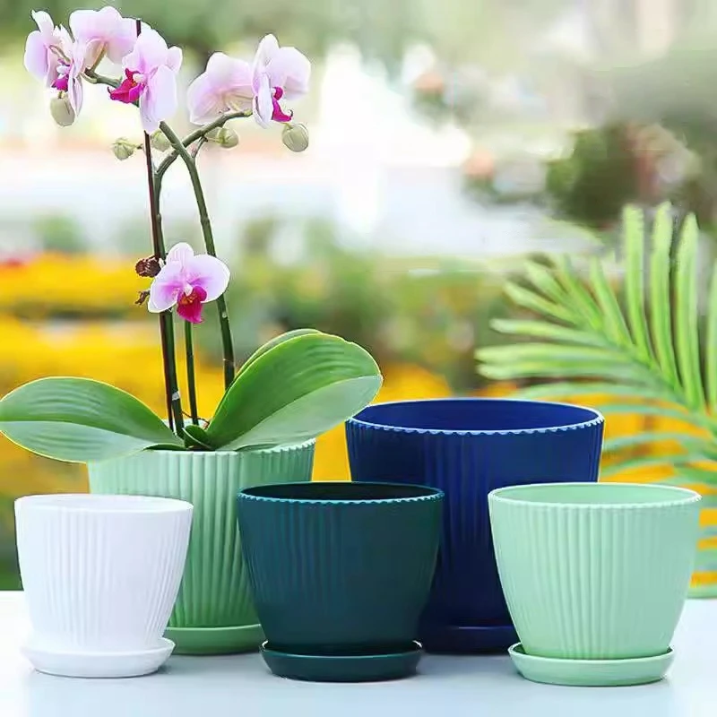 Succulent Potted Round Pot wit - Japanese Garden Bonsai recension och pris