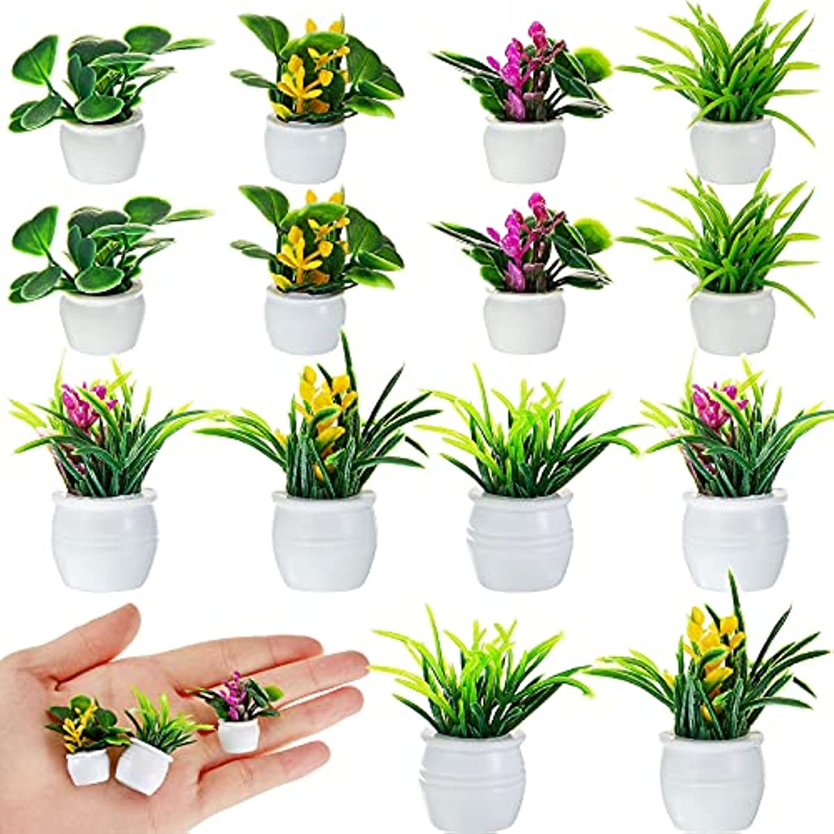 Dollhouse Plant, Miniature Bon - Bonsai Garden Ideas recension och pris